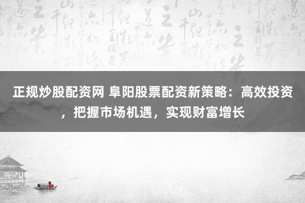 正规炒股配资网 阜阳股票配资新策略：高效投资，把握市场机遇，实现财富增长