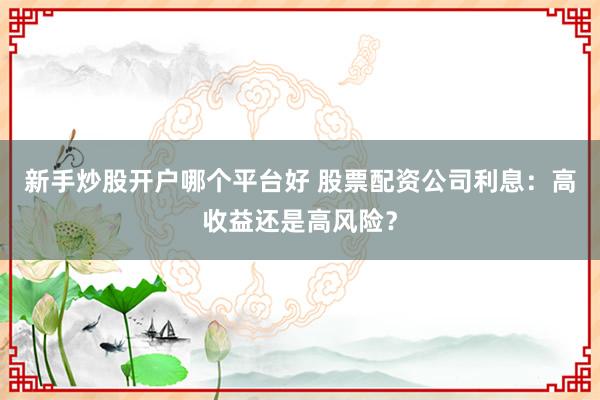新手炒股开户哪个平台好 股票配资公司利息：高收益还是高风险？