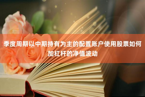 季度周期以中期持有为主的配置账户使用股票如何加杠杆的净值波动