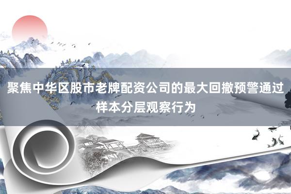 聚焦中华区股市老牌配资公司的最大回撤预警通过样本分层观察行为