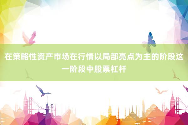 在策略性资产市场在行情以局部亮点为主的阶段这一阶段中股票杠杆