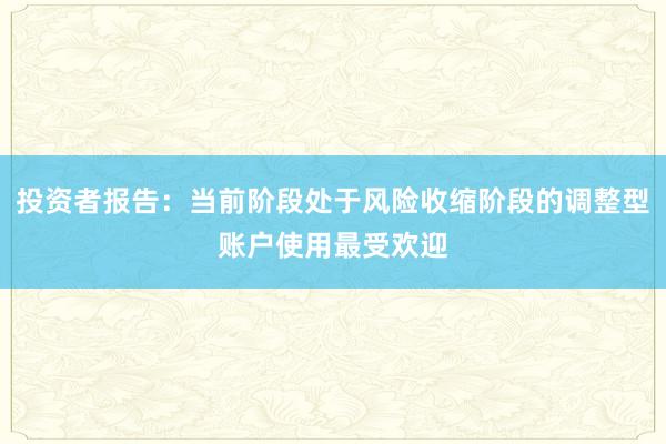 投资者报告：当前阶段处于风险收缩阶段的调整型账户使用最受欢迎