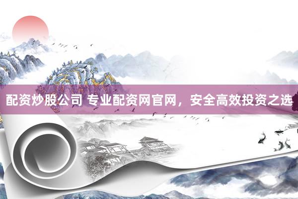 配资炒股公司 专业配资网官网，安全高效投资之选